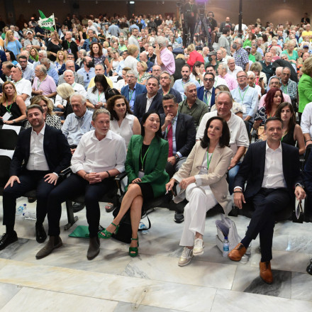 Το λάθος timing της διαγραφής Κωνσταντινόπουλου από τον Ανδρουλάκη και η στάση των δελφίνων