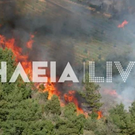 Ηλεία: Σε εξέλιξη μεγάλη φωτιά σε δύο μέτωπα - Σηκώθηκε και αεροσκάφος