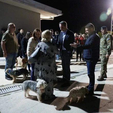 Δεν είναι η πρώτη φορά που επαναπατρίζονται ζώα: Έλληνες γύρισαν από Σουδάν μαζί με τα 7 σκυλιά τους