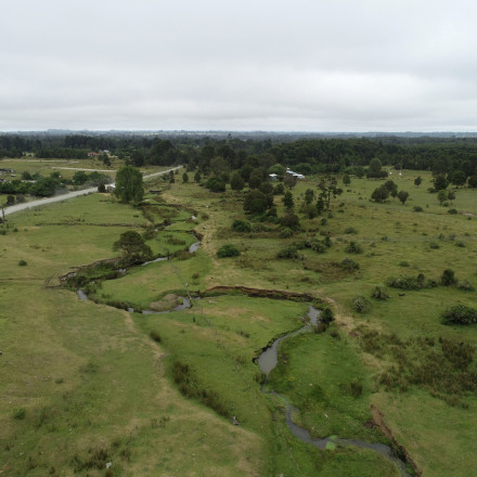 Πότε έφτασαν οι άνθρωποι στην Αμερική - Η επανεξέταση του Μόντε Βέρντε που αλλάζει όσα ξέραμε