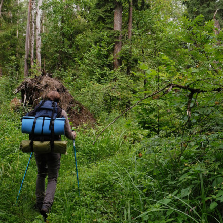 Η έξοχη κάνει καλό στη υγεία - Τέσσερις τρόποι για να ζήσετε περισσότερο