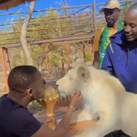 Κόπα Άφρικα: Στρατό και... λιοντάρια επιστράτευσε η Σενεγάλη για να προστατέψει το τρόπαιο