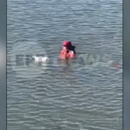 Διασώστης της ΕΜΑΚ βούτηξε στο φράγμα Θέρμης για να σώσει γλάρο - «Είχε ένα μέτρο σπάγγο γύρω του»