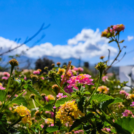 Πάσχα με «σύμμαχο» τον καιρό: Ηλιοφάνεια την Κυριακή μετά το άστατο Μεγάλο Σάββατο