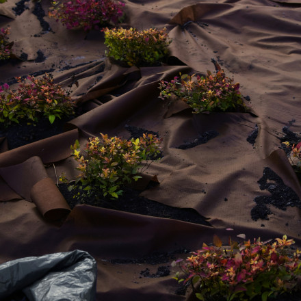 Όχι πια κεραμικές γλάστρες: Η νέα τάση που αλλάζει τον τρόπο που μεγαλώνουν τα φυτά