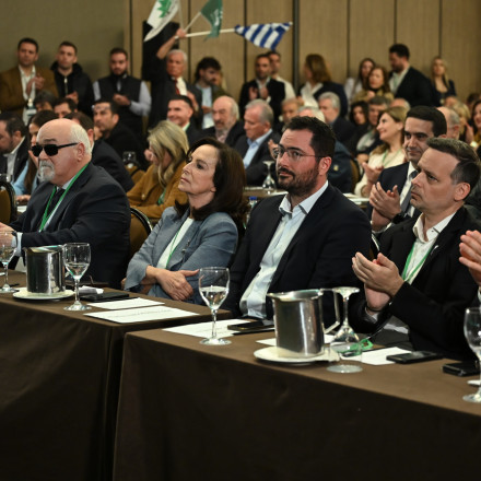 Ανδρουλάκης με κέφια: Ο «δήμαρχός μας», ο Μπόμπ Ντίλαν και o out of the box Βαρδακαστάνης