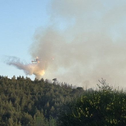 Φωτιά σε δασική έκταση στην Σκιάθο - Ενισχύονται οι πυροσβεστικές δυνάμεις (βίντεο)