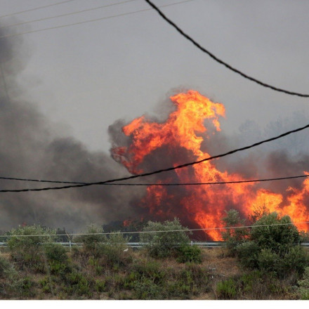 Μεγάλη φωτιά τώρα στο Σχοινιά