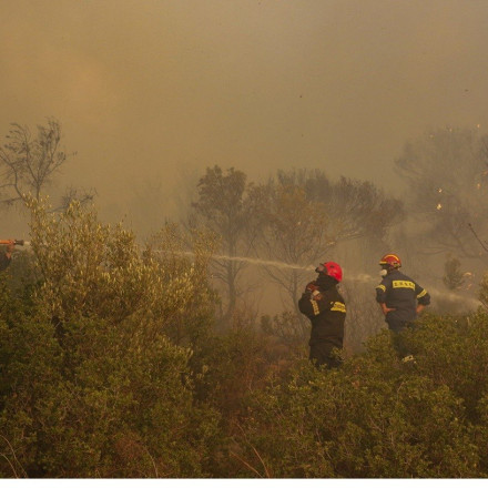 Φωτιά στην Άνδρο – Συναγερμός στην Πυροσβεστική