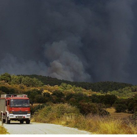 Νέα Μάκρη: Υπό μερικό έλεγχο η φωτιά – Αποκαταστάθηκε η κυκλοφορία στη λεωφόρο Διονύσου