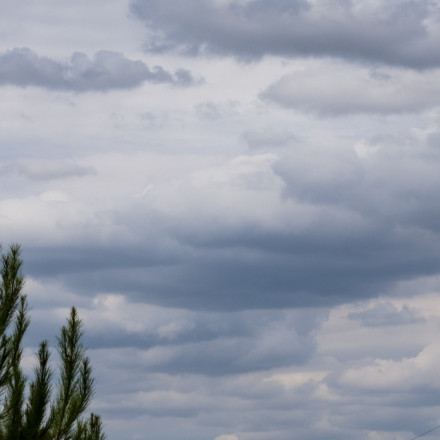 Καιρός: Δείτε την πρόγνωση για αύριο Δευτέρα (20/11) από την Ελίνα Καρέτσου