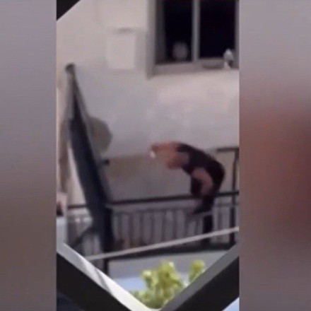Κακοποίηση σκύλου στο Πέραμα: Το πρόστιμο που επιβλήθηκε στον δράστη [vid]