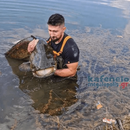 Μεγαλόπολη: Έπιασε ψάρι 70 κιλών σε λίμνη και το άφησε να ζήσει