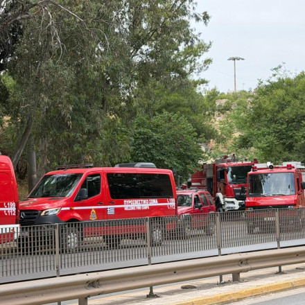 Υπό έλεγχο η φωτιά στη Φιλοθέη κοντά στο Άλσος Βεΐκου