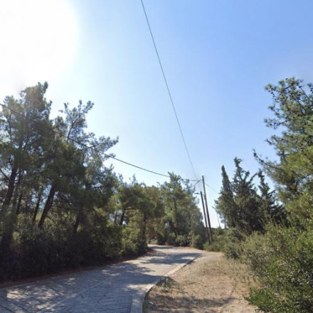 Θεσσαλονίκη: Αντιπυρικά έργα σε γνωστό Άλσος – Η σύσταση προς τους πολίτες