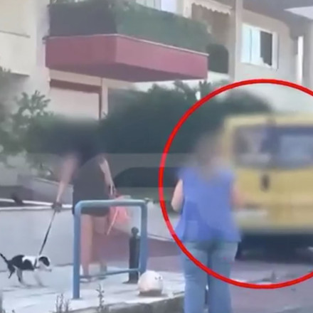 Παλαιό Φάληρο: Μεθυσμένη 32χρονη έκλεψε βαν και έπεσε σε παρκαρισμένα ΙΧ - Κατέληξε σε πιλοτή