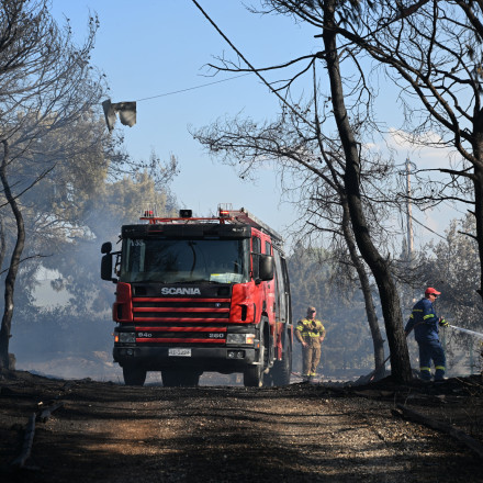 Φωτιές: Υπό μερικό έλεγχο στην Μαριολάτα Φωκίδας, οριοθετήθηκε στον Άγιο Δημήτριο Κορινθίας