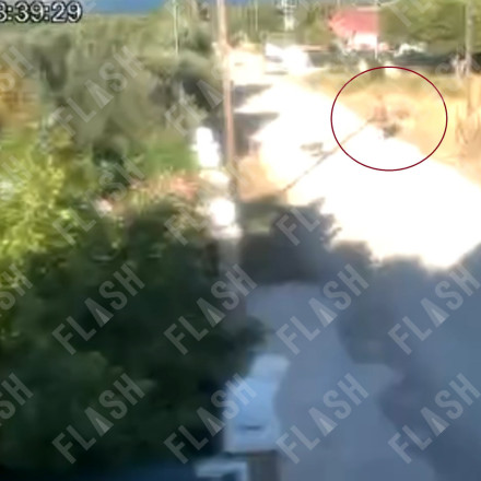 Κορινθία: Καρέ-καρέ η έναρξη της φωτιάς που οδήγησε στη σύλληψη 57χρονης - Βίντεο ντοκουμέντο