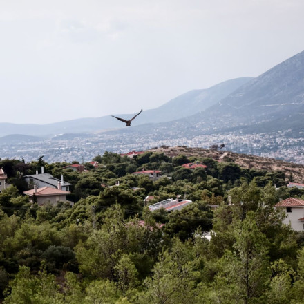 Ριπές ανέμου άνω των 100 χλμ. την ώρα «σάρωσαν» την Πεντέλη
