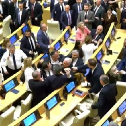 Ρίνγκ το Κοινοβούλιο στη Γεωργία: Άγριος καβγάς μεταξύ βουλευτών