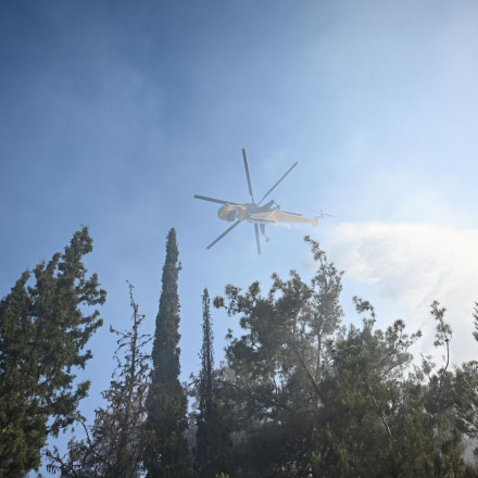 Σε ύφεση η φωτιά στον Λαγκαδά Θεσσαλονίκης - Μπαράζ μηνυμάτων νωρίτερα από το 112