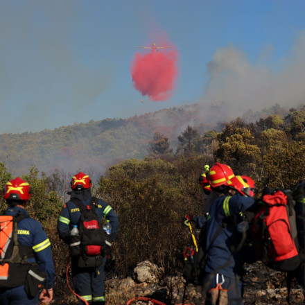 Οι 20 συλλήψεις του Ιουλίου για φωτιές αντιστοιχούν σε πάνω από το 10% στο σύνολο του 2026