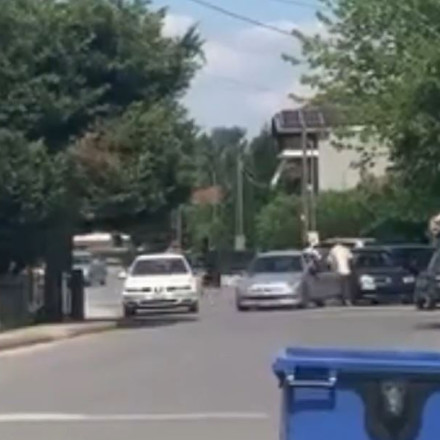 Βίντεο ντοκουμέντο από τη φονική συμπλοκή στην Ημαθία - Ιδιοκτησιακά θέματα πίσω από το έγκλημα