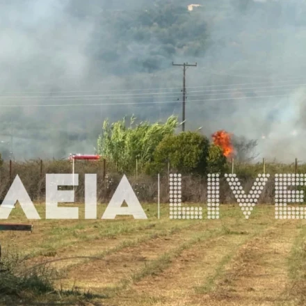 Χωρίς ενεργό μέτωπο η φωτιά στον Πύργο Ηλείας - Ήχησε το 112 για ετοιμότητα
