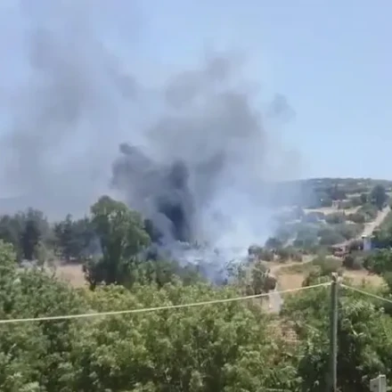 Κνωσός: Η φωτιά δίπλα στο Ανάκτορο και τα κενά στην πρόληψη