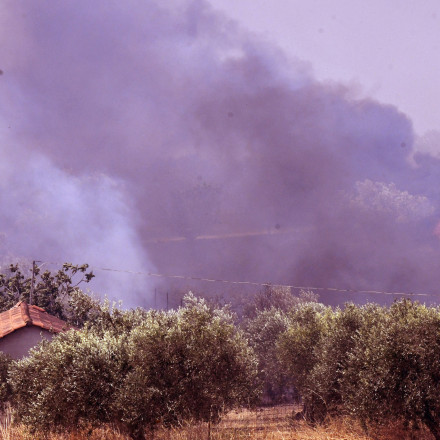 Μάχες σε Ρέθυμνο και Νεραντζιές Αιγιάλειας – Σε επιφυλακή για αναζωπυρώσεις στο Φίχτι Αργολίδας