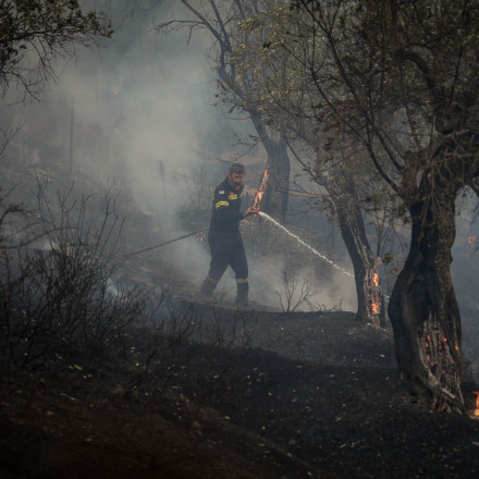 Χωρίς ενεργό μέτωπο η φωτιά στο Πλωμάρι Λέσβου - Μάχη με τις αναζωπυρώσεις