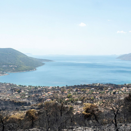 Ολοκληρώνονται την Πέμπτη οι αυτοψίες για τα καμένα στο Πόρτο Γερμενό