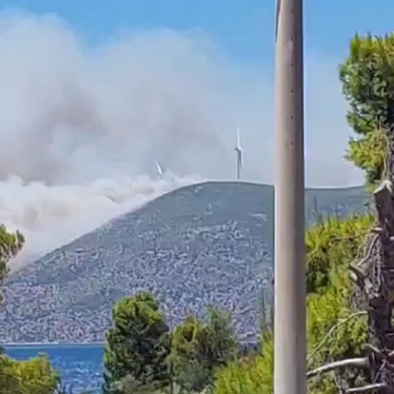 Αττικοβοιωτία: Βίντεο ντοκουμέντο εξετάζεται για την έναρξη της φωτιάς στον Άγιο Βασίλειο