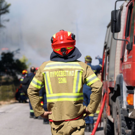 Χαϊδάρι: Συνελήφθη 54χρονος για τη φωτιά στον Βοτανικό Κήπο - Έκανε εργασίες με θαμνοκοπτικό