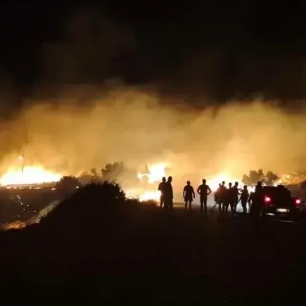 Σητεία: Μάχη με τις φλόγες κοντά σε πάρκο ανεμογεννητριών