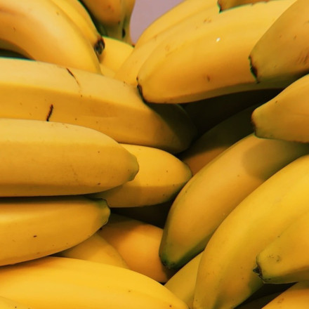 Η πανδημία της μπανάνας - Έρχεται το τέλος της παραγωγής της;