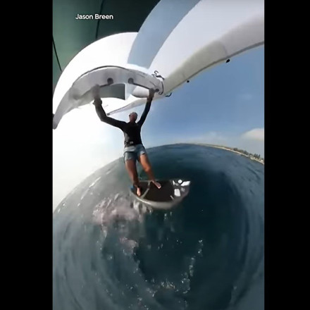 Η στιγμή που Αυστραλός σέρφερ δέχεται επίθεση από φάλαινα - Συγκλονιστικά πλάνα