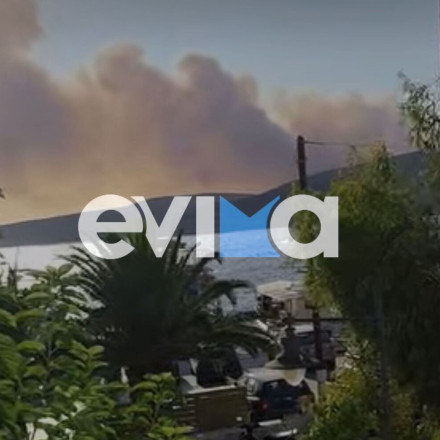 Σε τρία μέτωπα η φωτιά στη Σκύρο - Βελτιωμένη η εικόνα στο πύρινο μέτωπο