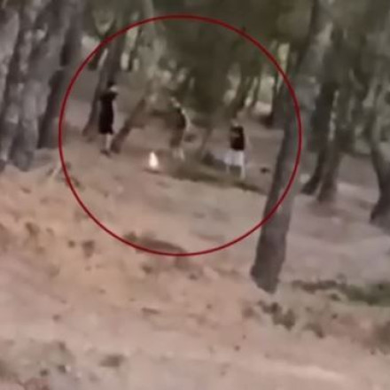 Εντοπίστηκαν οι 13χρονοι που προσπαθούσαν να βάλουν φωτιά στην Πεντέλη για... «challenge»