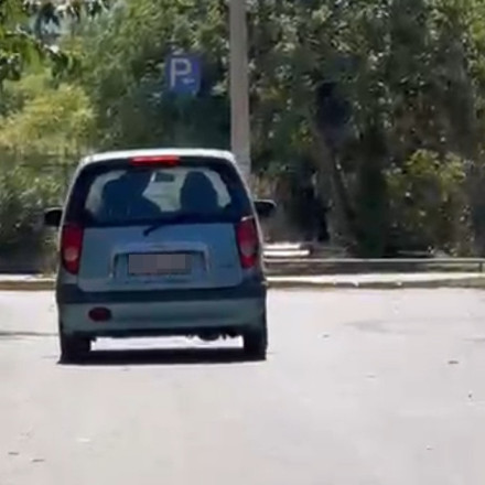 Μαραθώνας: Στον εισαγγελέα η κόρη και ο εγγονός για τα κρυμμένα οστά της 90χρονης στο υπόγειο