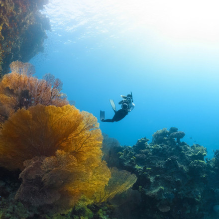 Λύθηκε το μυστήριο: Τί συμβαίνει στο βυθό της θάλασσας όταν γίνεται σεισμός