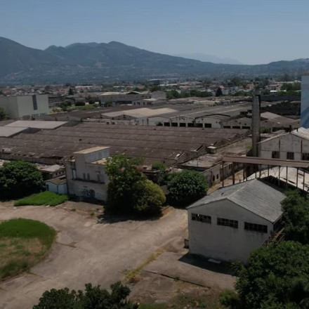 Πειραϊκή Πατραϊκή: Όταν η θρυλική βιομηχανία υπέκυψε στη «Βασίλισσα της νύχτας»