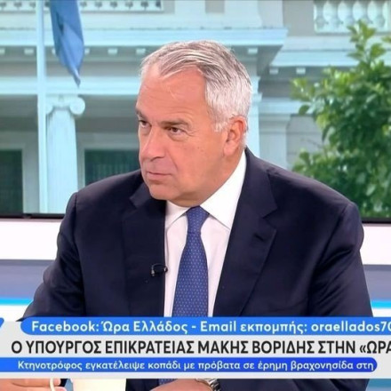 Μάκης Βορίδης: Παραιτούμαι αν μου ζητηθεί να ψηφίσω τον γάμο ομοφύλων