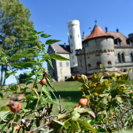 Πέθανε ξαφνικά στα 51 του ο πρίγκιπας Κωνσταντίνος του Λιχτενστάιν