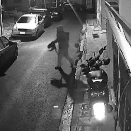 Κολωνός: Συνελήφθη 33χρονος για κακοποίηση γάτας - Κακοποιούσε συστηματικά ζώα, σύμφωνα με την ΕΛ.ΑΣ