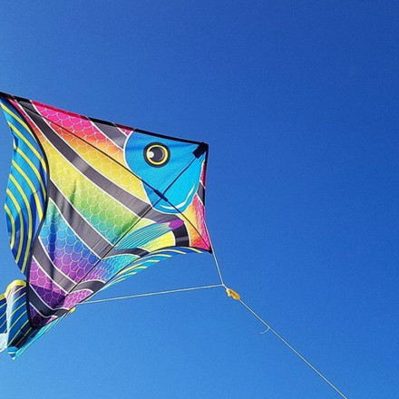 Καθαρά Δευτέρα: Ανακοίνωση για τους χαρταετούς στην Αττική σχετικά με τον κίνδυνο ηλεκτροπληξίας