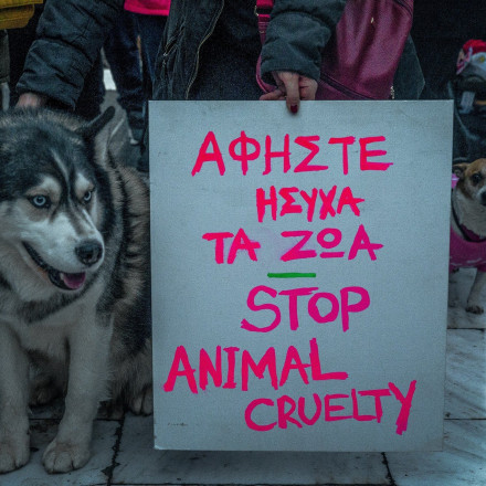 #Cancelarachova: Οργή στα social media για τον Όλιβερ