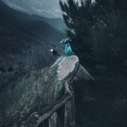 Μεθοριακότητα - Liminality στην Citronne Gallery από την Πέμπτη 18 Ιανουαρίου