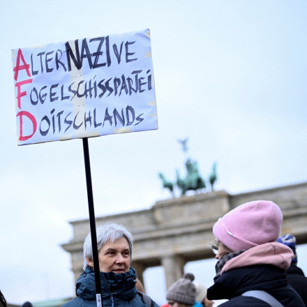 Μπορεί να τεθεί εκτός νόμου το AfD; Σάλος στη Γερμανία από τη δήλωση Σταϊνμάιερ