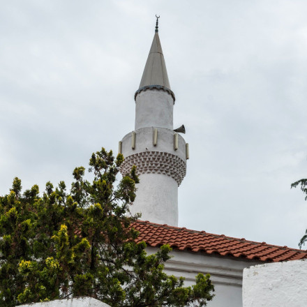 Υποστήριξη στους Μουσουλμάνους της Δυτικής Θράκης ανακοίνωσε το Τουρκικό ΥΠΕΞ